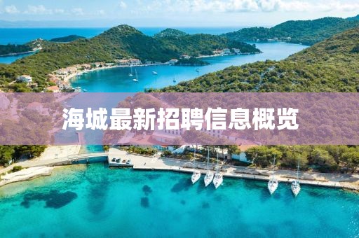 南梵 第5页
