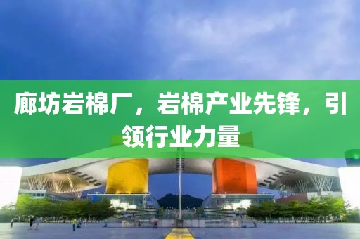 廊坊岩棉厂，岩棉产业先锋，引领行业力量
