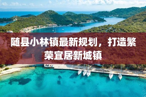 随县小林镇最新规划，打造繁荣宜居新城镇