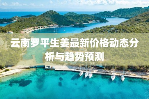 云南罗平生姜最新价格动态分析与趋势预测