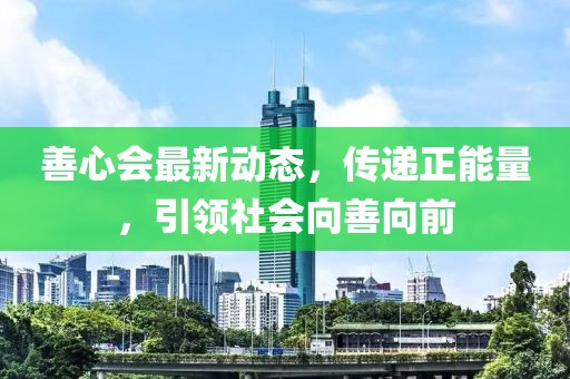 善心会最新动态，传递正能量，引领社会向善向前