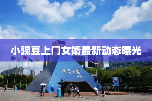 小豌豆上门女婿最新动态曝光