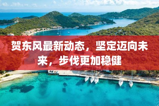 贺东风最新动态，坚定迈向未来，步伐更加稳健
