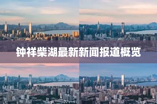 钟祥柴湖最新新闻报道概览