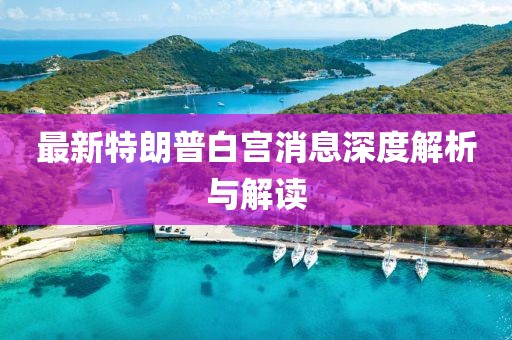 最新特朗普白宫消息深度解析与解读