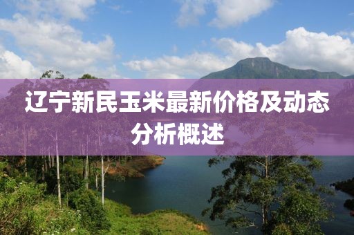 辽宁新民玉米最新价格及动态分析概述