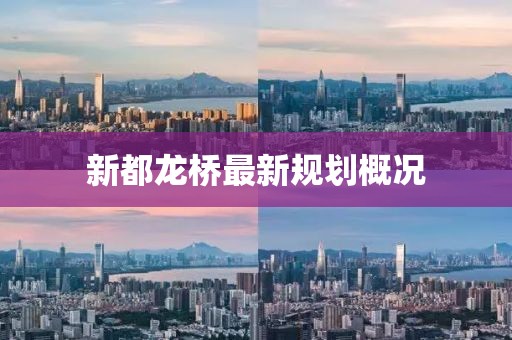 新都龙桥最新规划概况