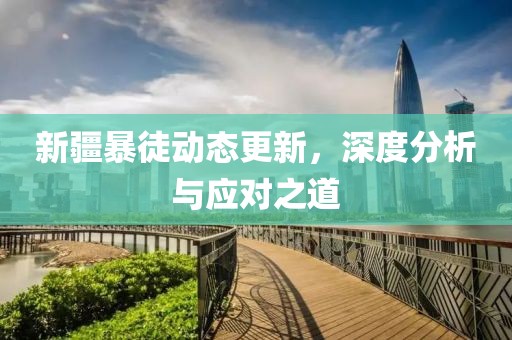 新疆暴徒动态更新，深度分析与应对之道