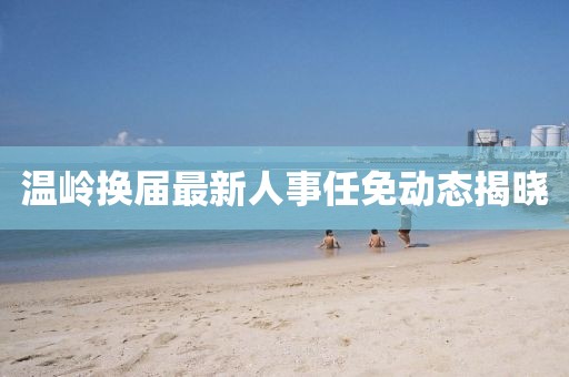 温岭换届最新人事任免动态揭晓