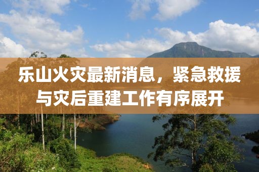 乐山火灾最新消息，紧急救援与灾后重建工作有序展开