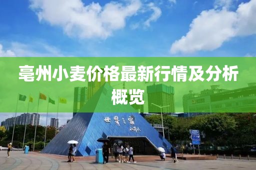 亳州小麦价格最新行情及分析概览