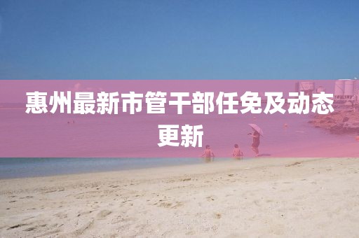 惠州最新市管干部任免及动态更新