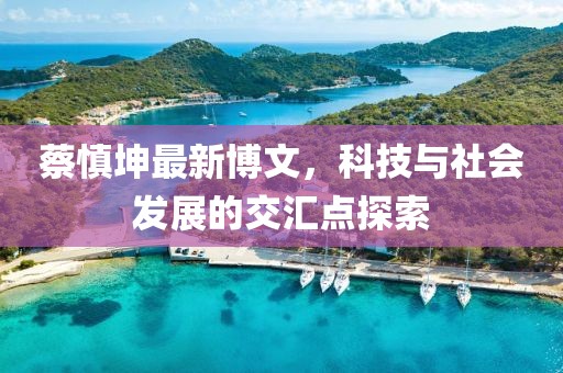 蔡慎坤最新博文，科技与社会发展的交汇点探索