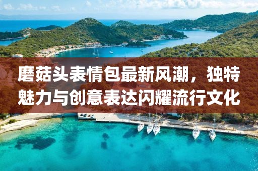 磨菇头表情包最新风潮，独特魅力与创意表达闪耀流行文化