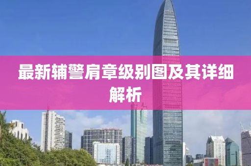 最新辅警肩章级别图及其详细解析
