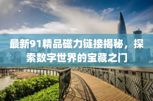 最新91精品磁力链接揭秘，探索数字世界的宝藏之门