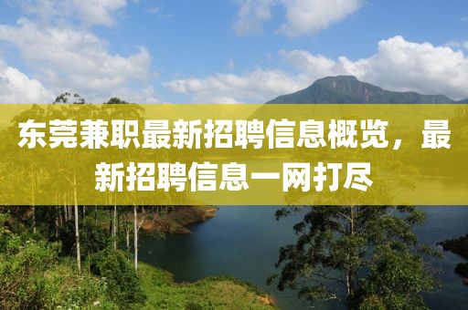 东莞兼职最新招聘信息概览，最新招聘信息一网打尽