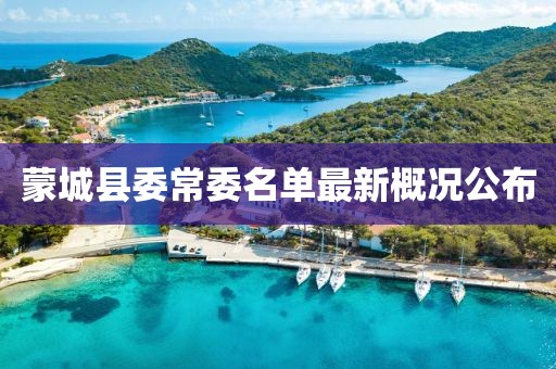 蒙城县委常委名单最新概况公布