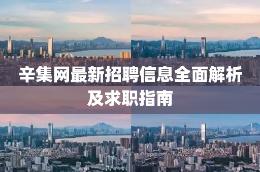 辛集网最新招聘信息全面解析及求职指南