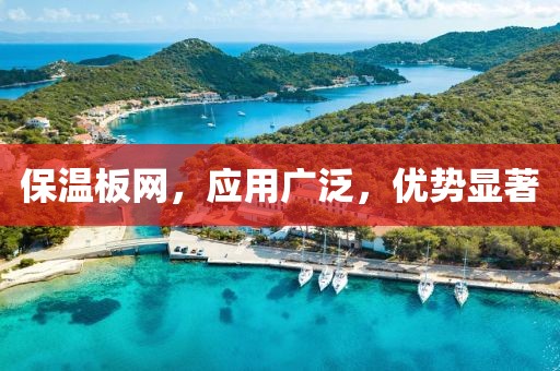 保温板网，应用广泛，优势显著