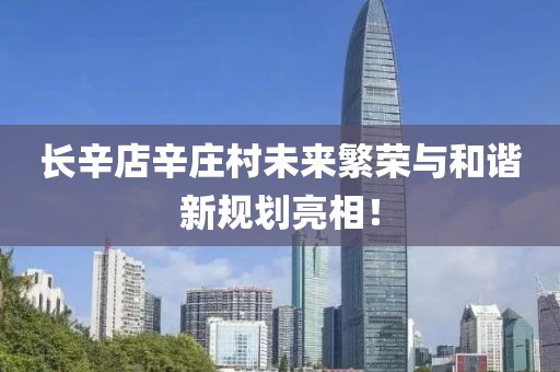 长辛店辛庄村未来繁荣与和谐新规划亮相！