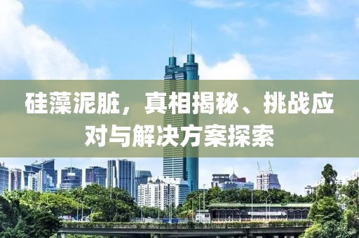 硅藻泥脏，真相揭秘、挑战应对与解决方案探索