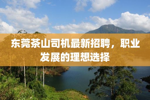 东莞茶山司机最新招聘，职业发展的理想选择