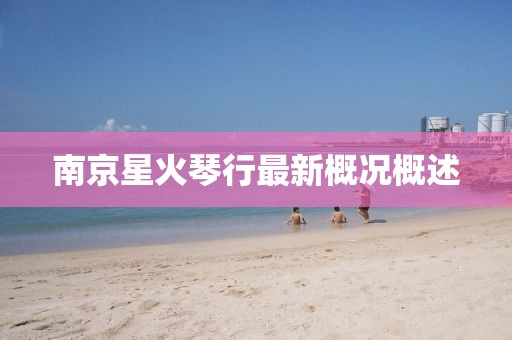 南京星火琴行最新概况概述