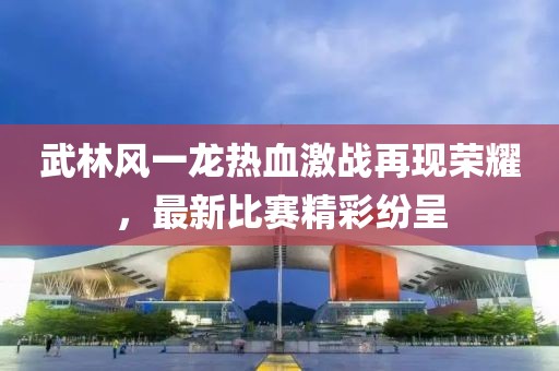 武林风一龙热血激战再现荣耀，最新比赛精彩纷呈