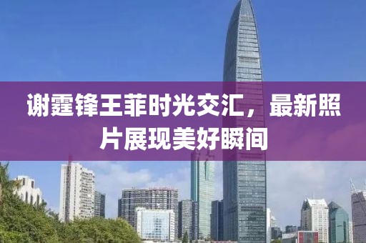 谢霆锋王菲时光交汇，最新照片展现美好瞬间