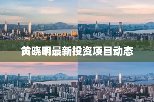 黄晓明最新投资项目动态