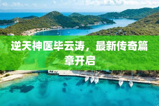 逆天神医毕云涛，最新传奇篇章开启