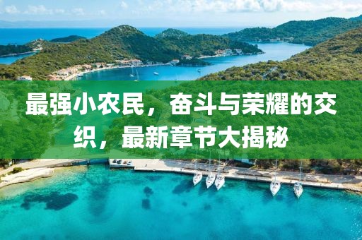 最强小农民，奋斗与荣耀的交织，最新章节大揭秘