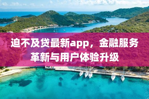 迫不及贷最新app，金融服务革新与用户体验升级