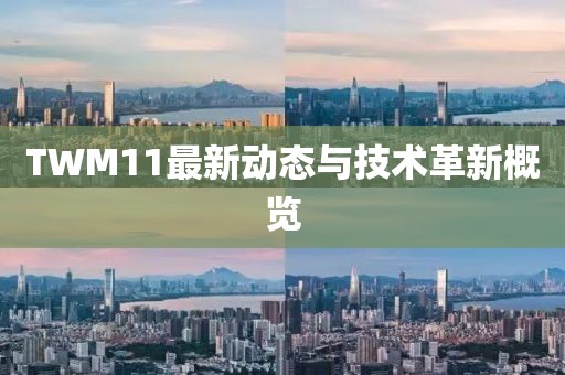 TWM11最新动态与技术革新概览