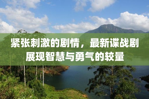 紧张刺激的剧情，最新谍战剧展现智慧与勇气的较量