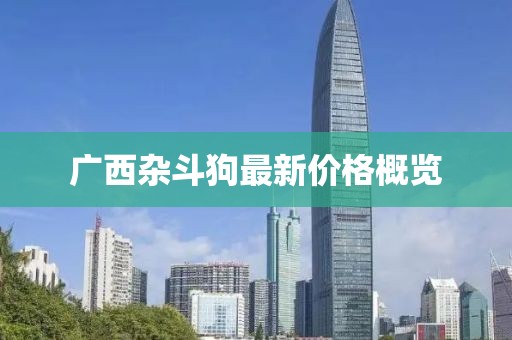 广西杂斗狗最新价格概览