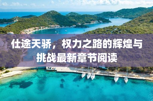 仕途天骄，权力之路的辉煌与挑战最新章节阅读