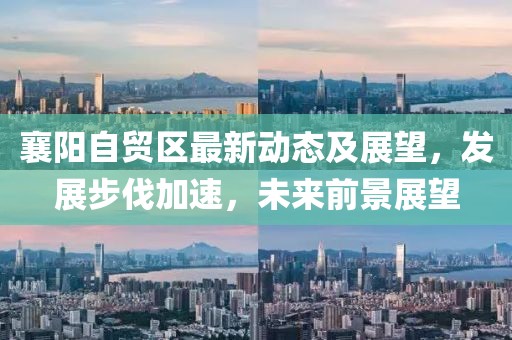 襄阳自贸区最新动态及展望，发展步伐加速，未来前景展望