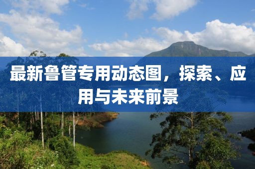 最新鲁管专用动态图，探索、应用与未来前景