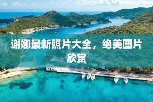 谢娜最新照片大全，绝美图片欣赏