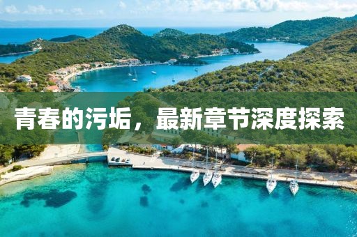 青春的污垢，最新章节深度探索