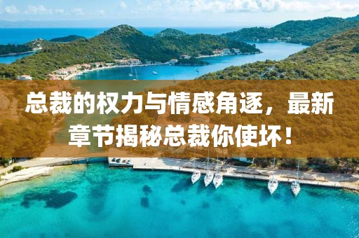总裁的权力与情感角逐，最新章节揭秘总裁你使坏！