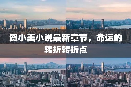贺小美小说最新章节，命运的转折转折点