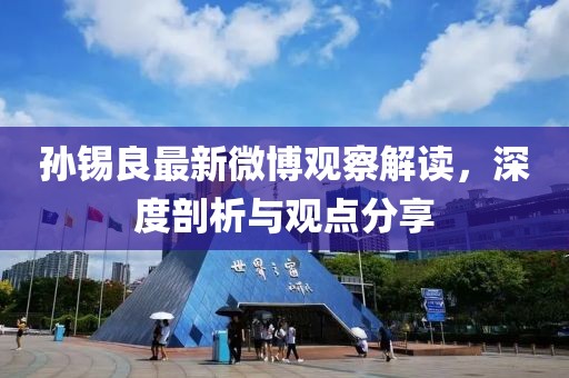 孙锡良最新微博观察解读，深度剖析与观点分享
