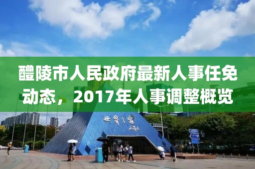 醴陵市人民政府最新人事任免动态，2017年人事调整概览