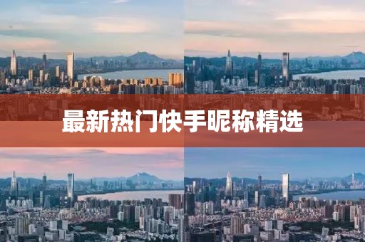 最新热门快手昵称精选
