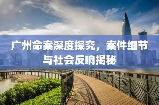 广州命案深度探究，案件细节与社会反响揭秘