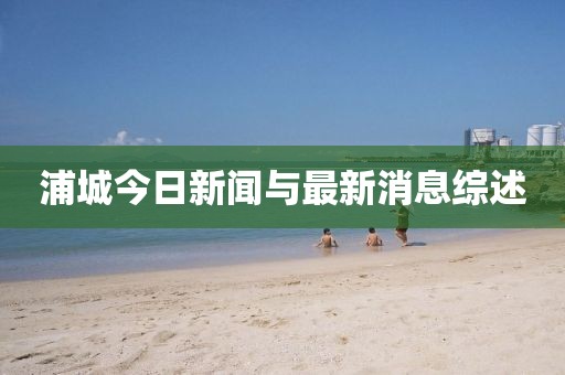 浦城今日新闻与最新消息综述