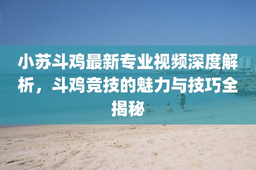 小苏斗鸡最新专业视频深度解析，斗鸡竞技的魅力与技巧全揭秘